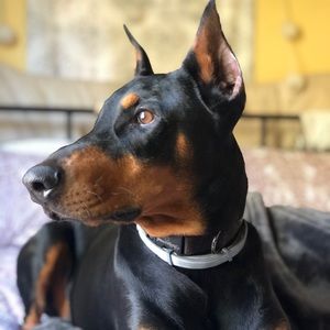 Meet your Posher, Katherine